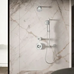 Four-function handshower, 2.5 gpm