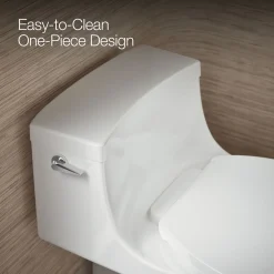 Hidden cord one-piece compact elongated toilet with concealed trapway, 1.28 gpf toilet