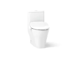 Hidden cord one-piece compact elongated toilet with skirted trapway, dual-flush