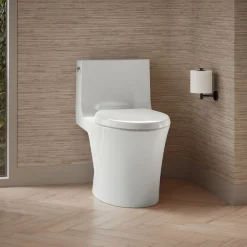 Hidden cord one-piece elongated toilet with skirted trapway, dual-flush