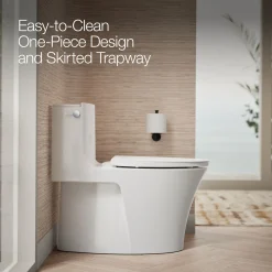 Hidden cord one-piece elongated toilet with skirted trapway, dual-flush