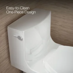 Hidden cord one-piece elongated toilet with skirted trapway, dual-flush