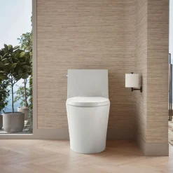 Hidden cord one-piece elongated toilet with skirted trapway, dual-flush