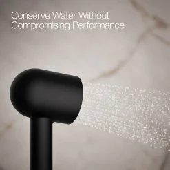 Iconic single-function handshower, 2.5 gpm
