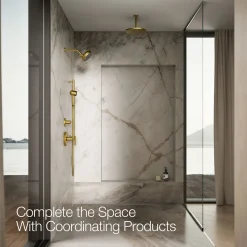 Iconic single-function handshower, 2.5 gpm