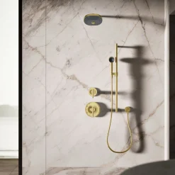 Iconic single-function handshower, 2.5 gpm