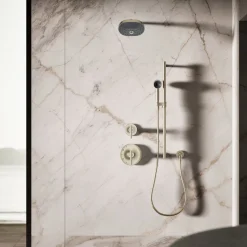 Iconic single-function handshower, 2.5 gpm