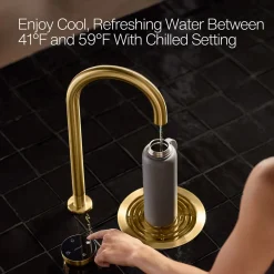 4-in-1 short arc beverage faucet