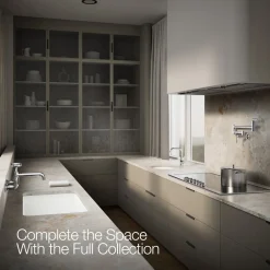Kitchen sink faucet