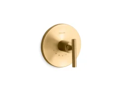 MasterShower® temperature control valve trim with lever handle