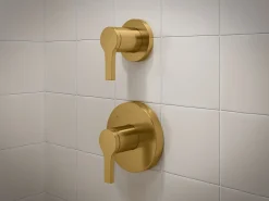 MasterShower® transfer valve trim