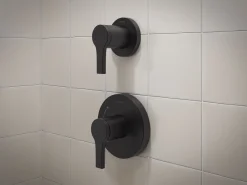 MasterShower® transfer valve trim