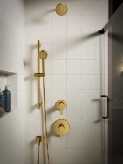 MasterShower® transfer valve trim