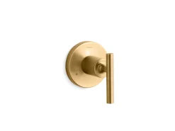 MasterShower® transfer valve trim with lever handle