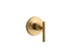 MasterShower® volume control valve trim with lever handle