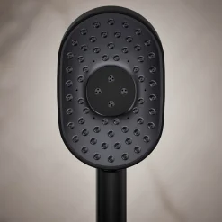 Oblong three-function handshower, 1.75 gpm