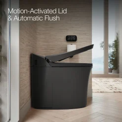 One-piece compact elongated smart toilet, dual-flush