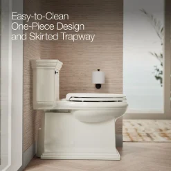 One-piece compact elongated toilet with skirted trapway, 1.28 gpf