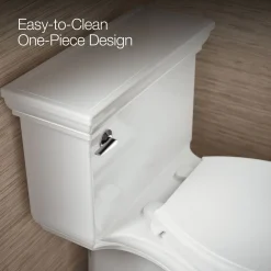 One-piece compact elongated toilet with skirted trapway, 1.28 gpf