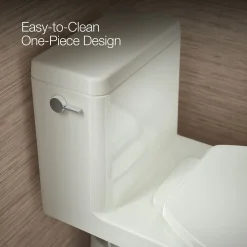One-piece compact elongated toilet with skirted trapway, 1.28 gpf