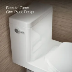 One-piece compact elongated toilet with skirted trapway, 1.28 gpf