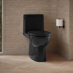 One-piece compact elongated toilet with skirted trapway, 1.28 gpf