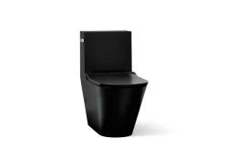 One-piece compact elongated toilet with skirted trapway, dual-flush