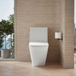 One-piece compact elongated toilet with skirted trapway, dual-flush