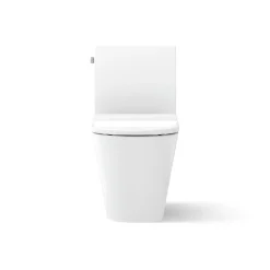 One-piece compact elongated toilet with skirted trapway, dual-flush