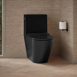 One-piece compact elongated toilet with skirted trapway, dual-flush