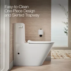 One-piece compact elongated toilet with skirted trapway, dual-flush