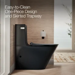 One-piece compact elongated toilet with skirted trapway, dual-flush