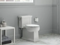 One-piece compact elongated toilet with skirted trapway, 1.28 gpf