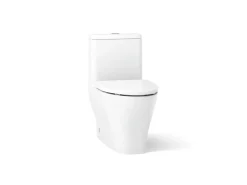 One-piece compact elongated toilet with skirted trapway, dual-flush