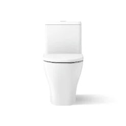 One-piece compact elongated toilet with skirted trapway, dual-flush