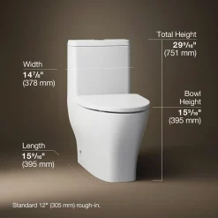 One-piece compact elongated toilet with skirted trapway, dual-flush