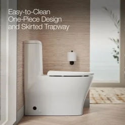 One-piece compact elongated toilet with skirted trapway, dual-flush