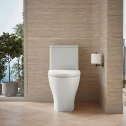 One-piece compact elongated toilet with skirted trapway, dual-flush