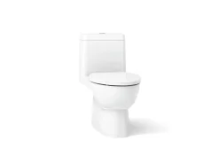 One-piece compact elongated toilet with skirted trapway, dual-flush