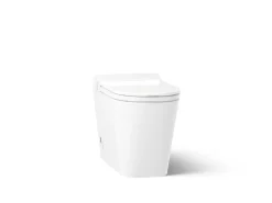 One-piece elongated smart toilet, dual-flush