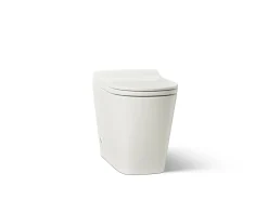 One-piece elongated smart toilet, dual-flush