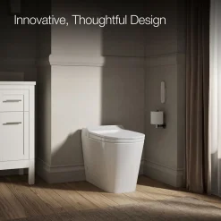 One-piece elongated smart toilet, dual-flush