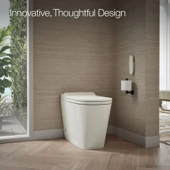 One-piece elongated smart toilet, dual-flush