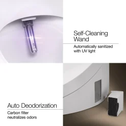 One-piece elongated smart toilet, dual-flush