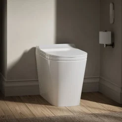 One-piece elongated smart toilet, dual-flush
