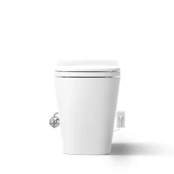 One-piece elongated smart toilet, dual-flush
