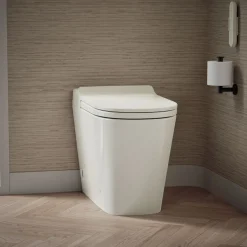 One-piece elongated smart toilet, dual-flush