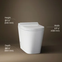 One-piece elongated smart toilet, dual-flush