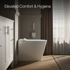 One-piece elongated smart toilet, dual-flush