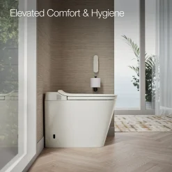 One-piece elongated smart toilet, dual-flush